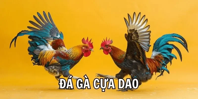 chien-thuat-dat-cuoc-da-ga-cua-dao-9win-de-thang-min_11zon