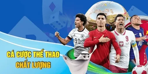 the-thao-9win-1-min_11zon